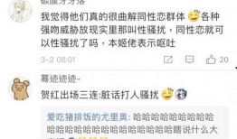 吃瓜网站小说免费阅读,吃瓜网站上的免费小说阅读之旅